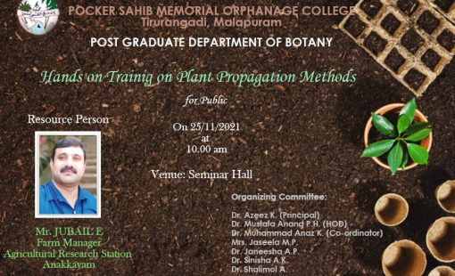 hands_botany_2021 hands_botany_2021